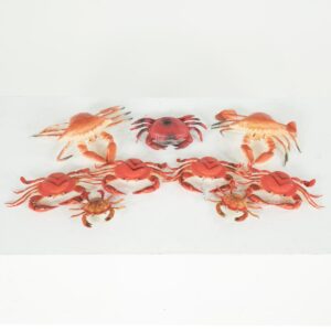 crab for hire - sydney props