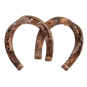 Horse Shoe-0