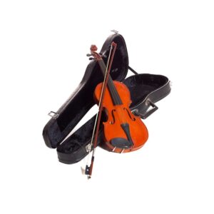 Violin with Case and Bow