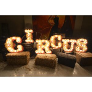Vintage Circus - Illuminated Sign