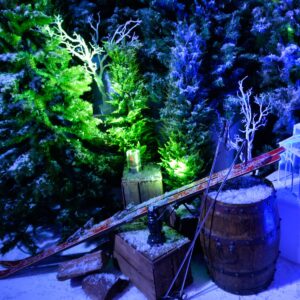 Pair of Skis and Stocks