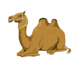 Cutout - Camel Sitting Facing Left