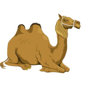 Cutout - Camel Sitting Facing Right