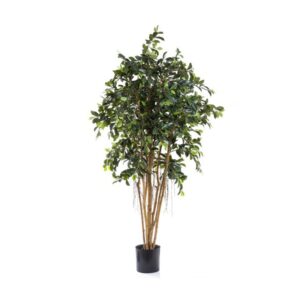 Artificial Ficus Tree-0