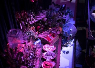 Australian Theme - Sydney Prop Specialists