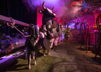 Australian Theme - Sydney Prop Specialists