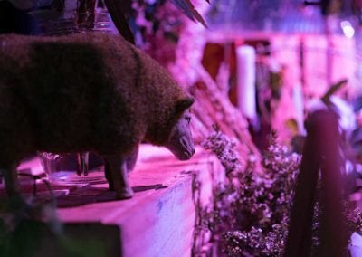 Australian Theme - Sydney Prop Specialists