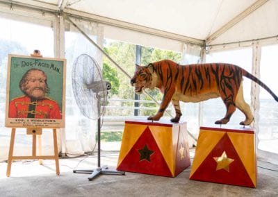 Circus Theme - Sydney Prop Specialists