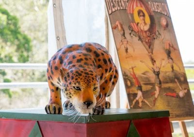 Circus Theme - Sydney Prop Specialists