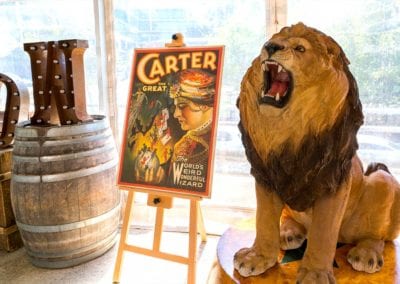 Circus Theme - Sydney Prop Specialists