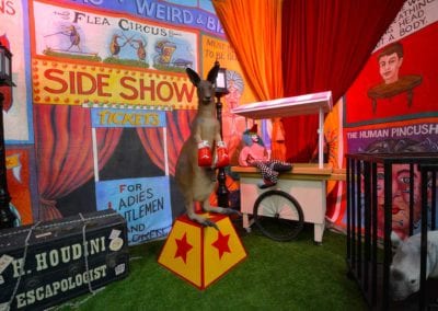 Circus Theme - Sydney Prop Specialists