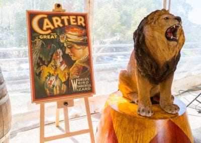 Circus Theme - Sydney Prop Specialists