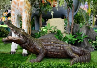 Jungle Theme - Sydney Prop Specialists