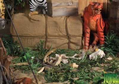 Jungle Theme - Sydney Prop Specialists