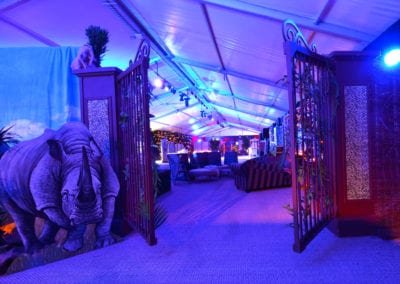 African Theme - Sydney Prop Specialists