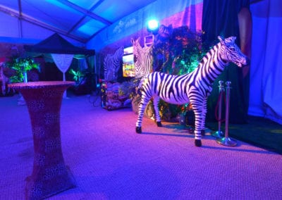 African Theme - Sydney Prop Specialists