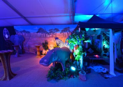 African Theme - Sydney Prop Specialists