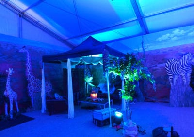 African Theme - Sydney Prop Specialists