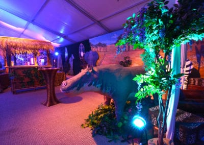 African Theme - Sydney Prop Specialists