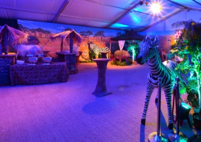 African Theme - Sydney Prop Specialists