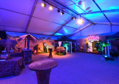 African Theme - Sydney Prop Specialists