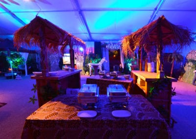 African Theme - Sydney Prop Specialists