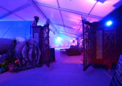 African Theme - Sydney Prop Specialists