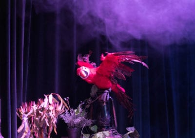 Australian Theme - Sydney Prop Specialists