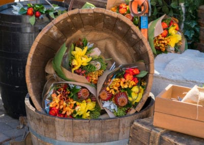 Farm Theme - Sydney Prop Specialists