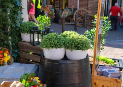 Farm Theme - Sydney Prop Specialists