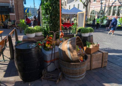 Farm Theme - Sydney Prop Specialists