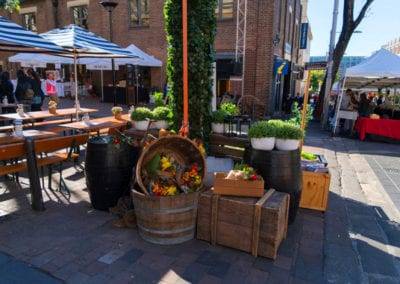 Farm Theme - Sydney Prop Specialists