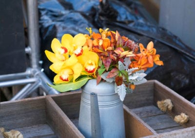 Farm Theme - Sydney Prop Specialists