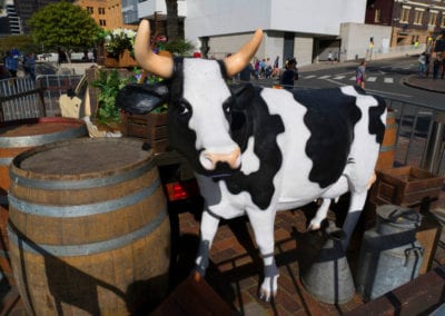 Farm Theme - Sydney Prop Specialists