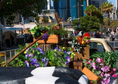 Farm Theme - Sydney Prop Specialists