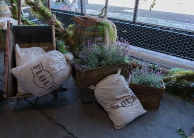 Farm Theme - Sydney Prop Specialists