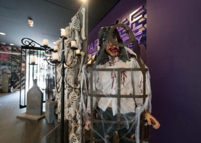 Day of the Dead Theme - Sydney Prop Specialists