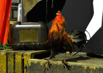 Day of the Dead Theme - Sydney Prop Specialists