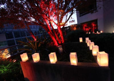 East Meets West Theme - Sydney Prop Specialists