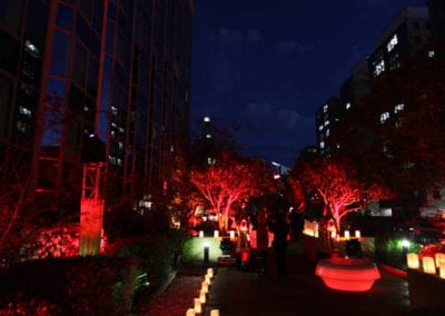 East Meets West Theme - Sydney Prop Specialists