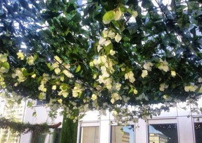 Enchanted Garden Theme - Sydney Prop Specialists