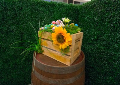 Garden Maze Theme - Sydney Prop Specialists