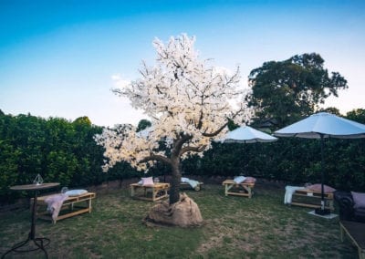 Garden Party Theme - Sydney Prop Specialists