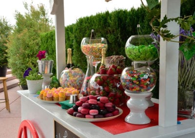 Garden Party Theme - Sydney Prop Specialists