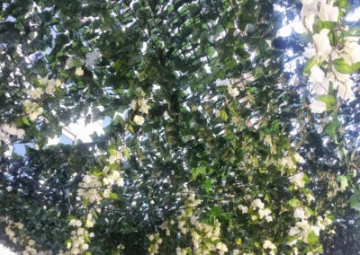 Garden Party Theme - Sydney Prop Specialists