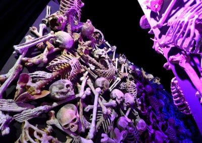 Horror Theme - Sydney Prop Specialists