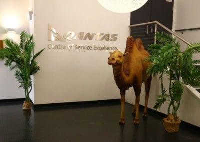 International Theme - Sydney Prop Specialists