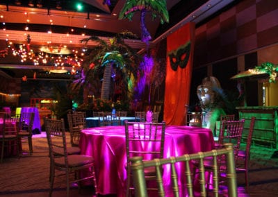 Lost City Theme - Sydney Prop Specialists