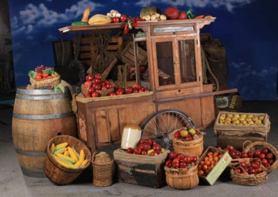 Market Theme - Sydney Prop Specialists