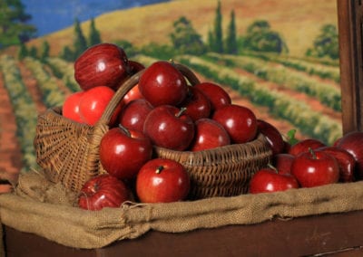 Market Theme - Sydney Prop Specialists